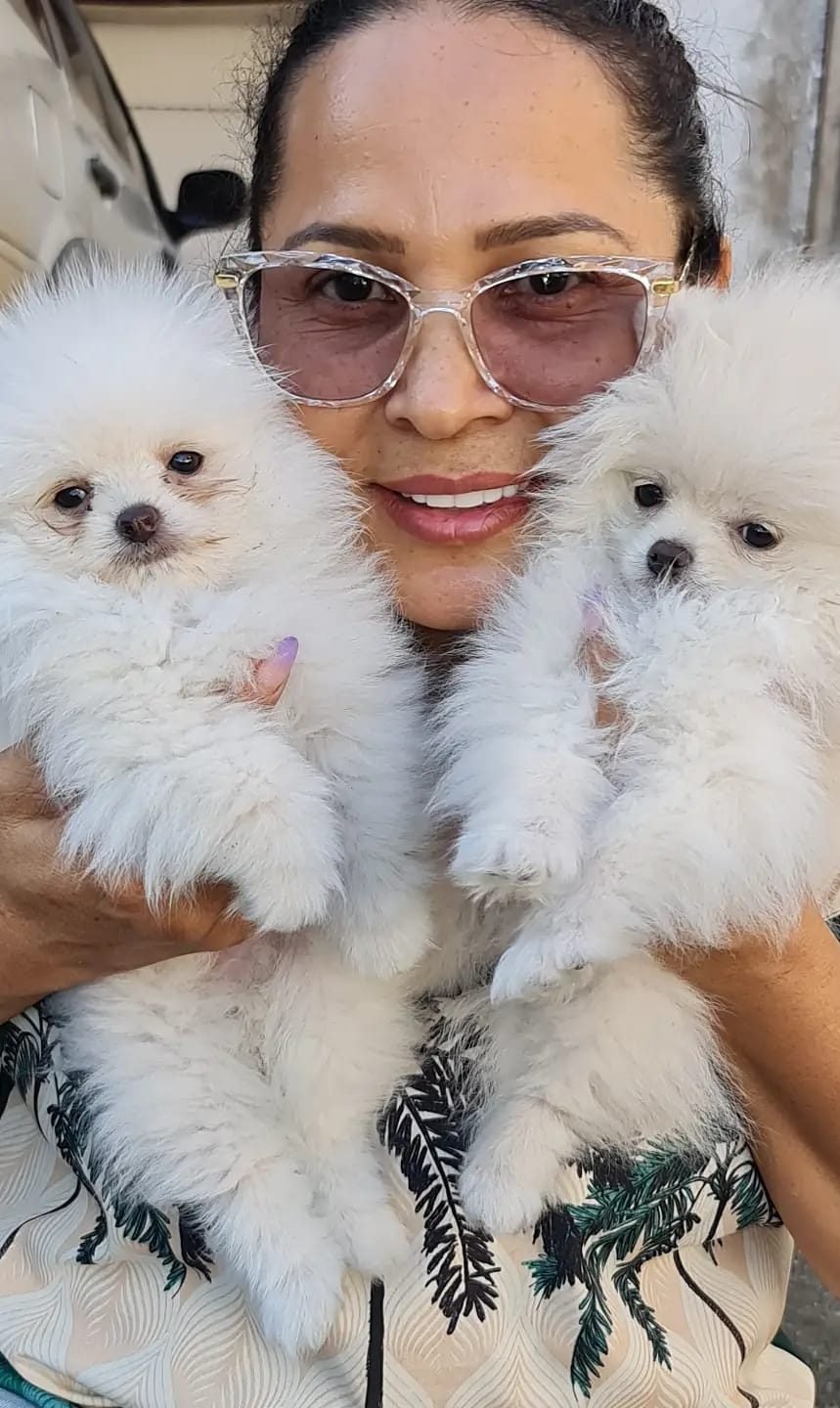 foto001 e1716735069120