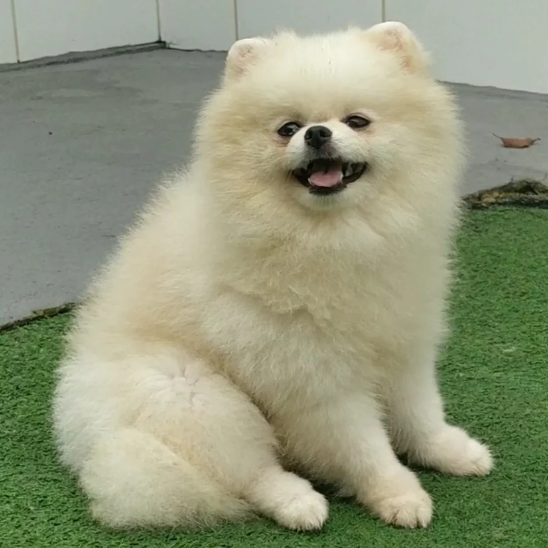 1 1